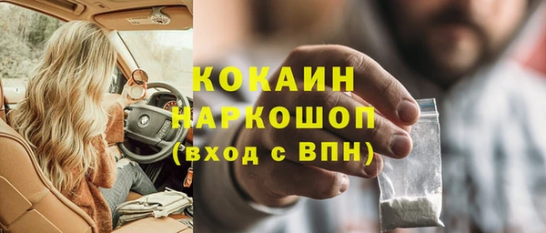 крисы Алексин