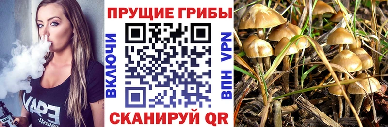 Псилоцибиновые грибы ЛСД  Северодвинск 