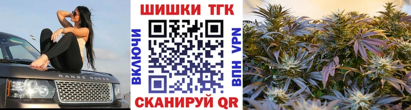 дарнет шоп  Северодвинск  mega как войти  Бошки Шишки марихуана 